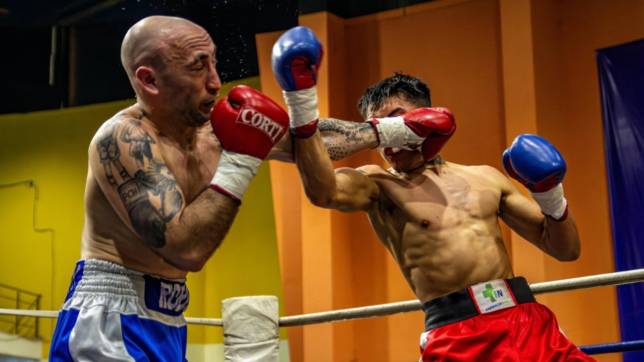 pexels franco monsalvo 252430633 28304156